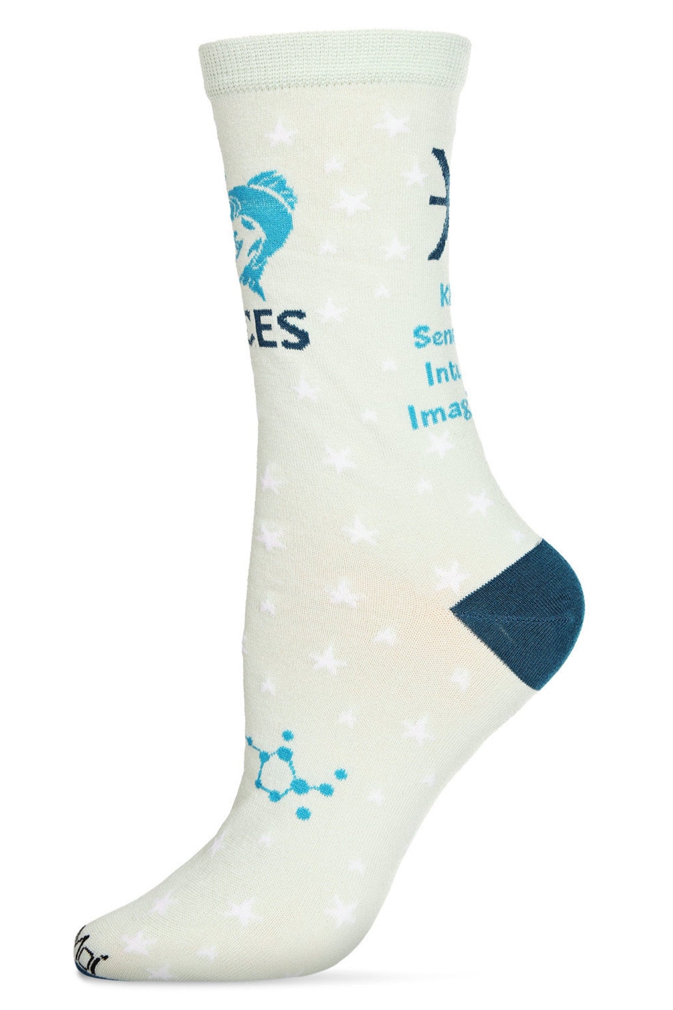 PISCES ZODIAC SOCK