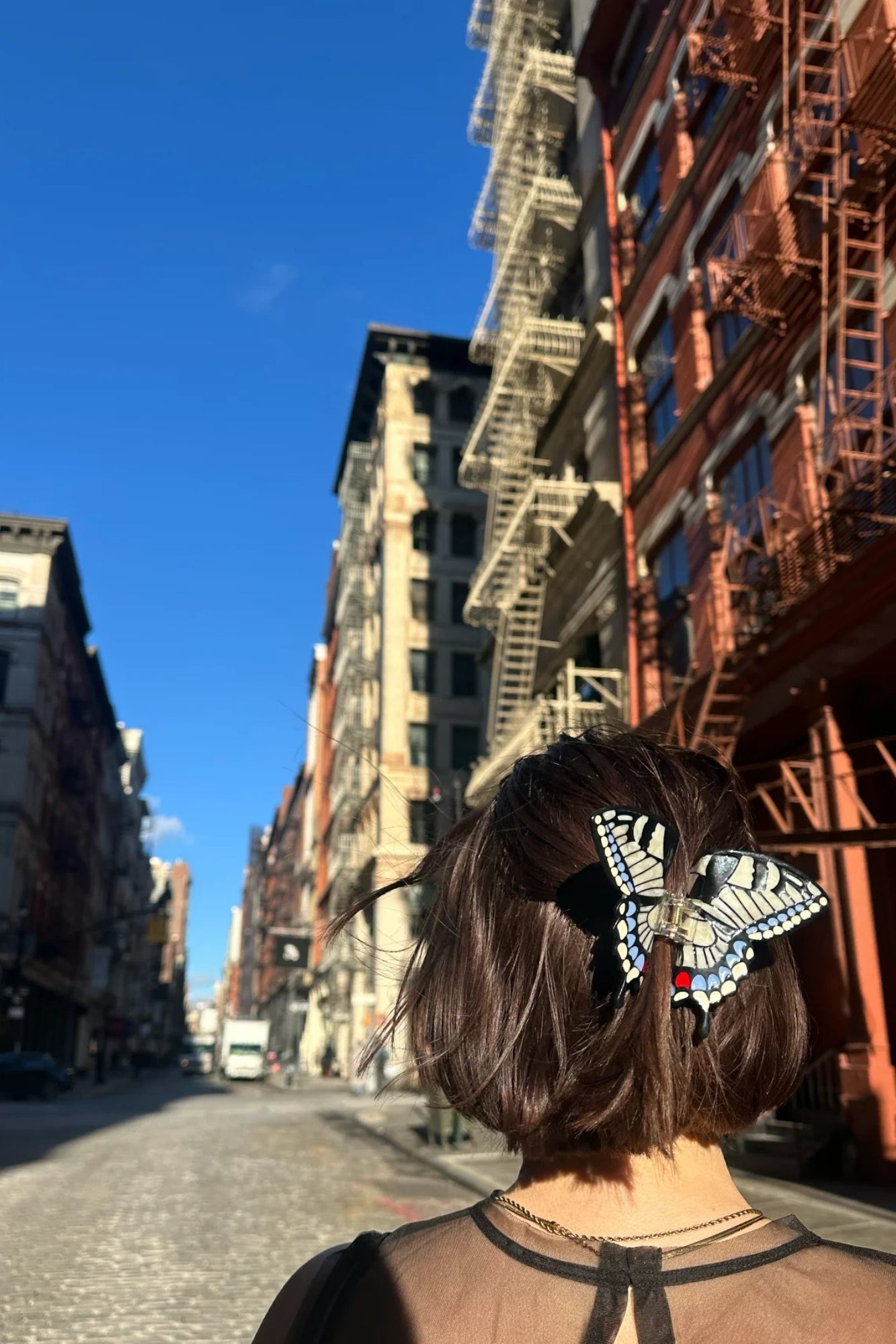 HAND PAINTED SWALLOWTAIL BUTTERFLY CLAW HAIR CLIP