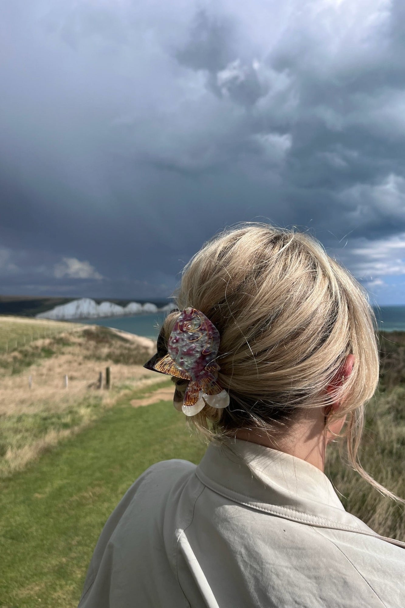 GOLDFISH CLAW HAIR CLIP